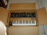 doos2minimoog.jpg